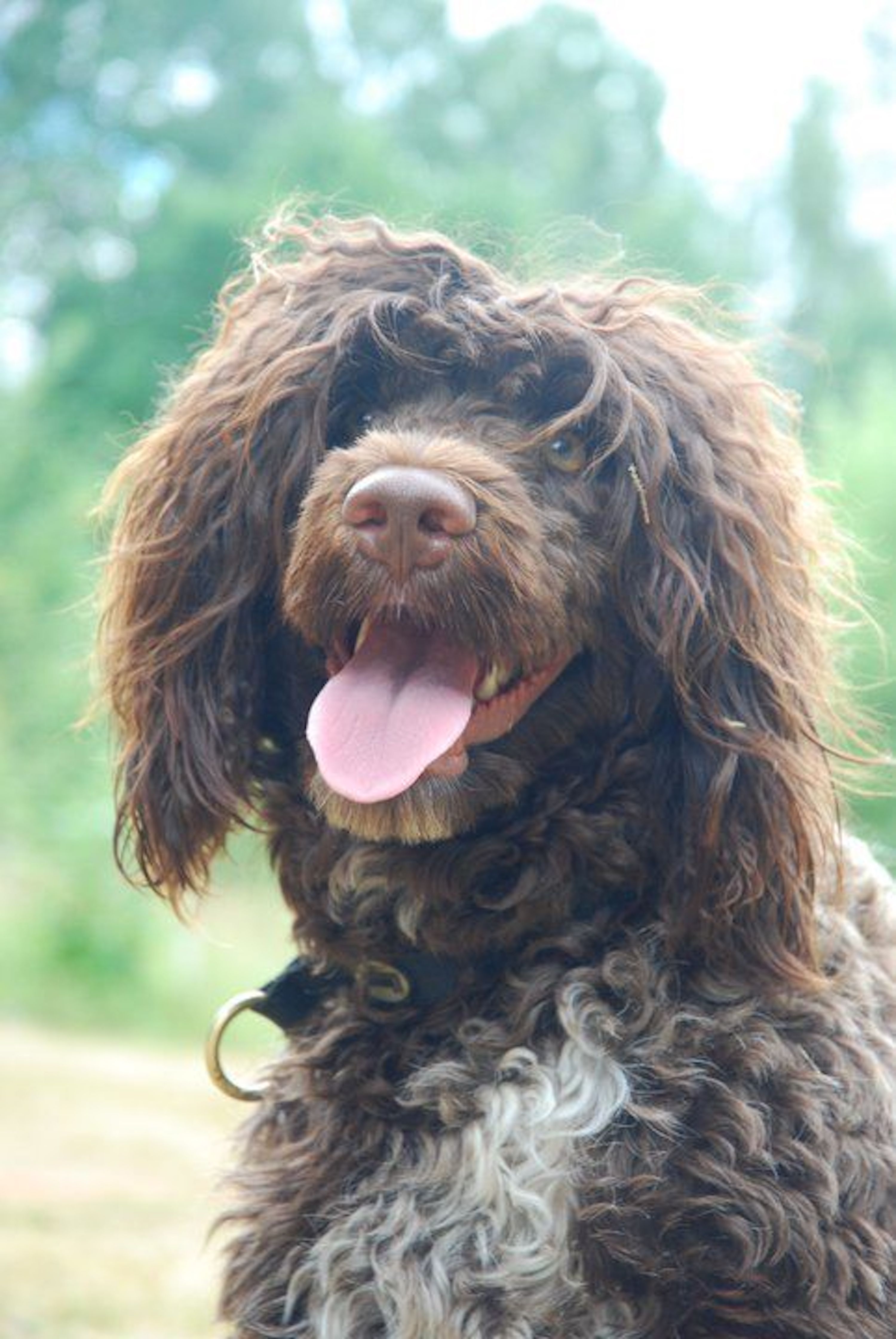 Foto: ? Yvonne?
"Filippa"