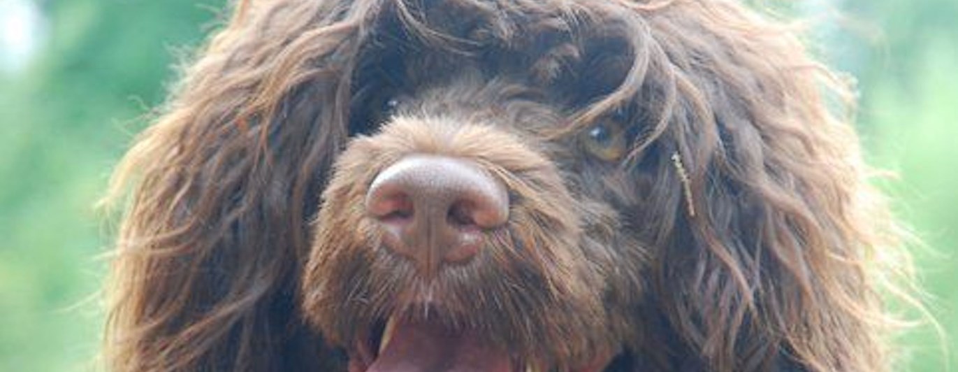 Foto: ? Yvonne?
"Filippa"