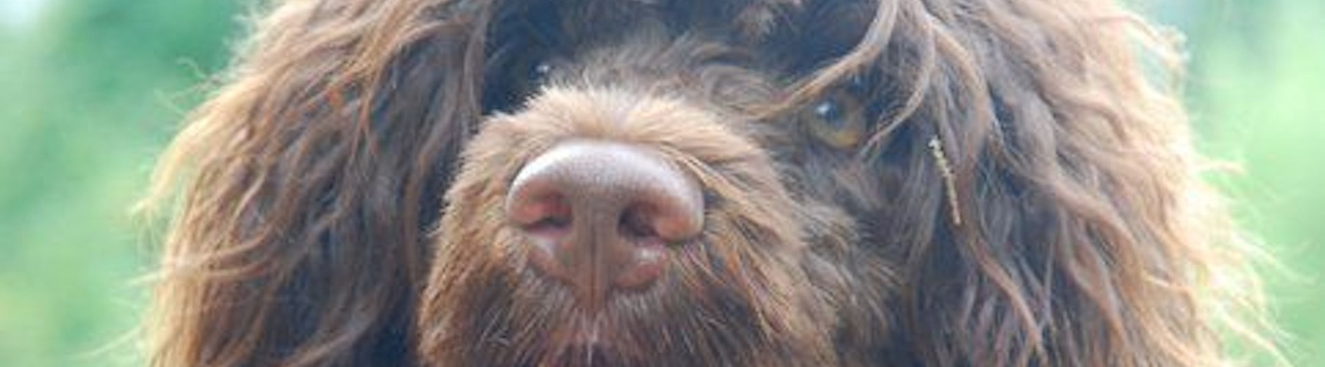 Foto: ? Yvonne?
"Filippa"