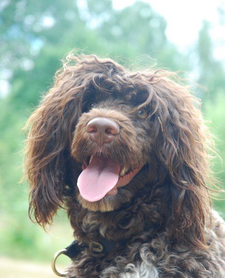 Foto: ? Yvonne?
"Filippa"