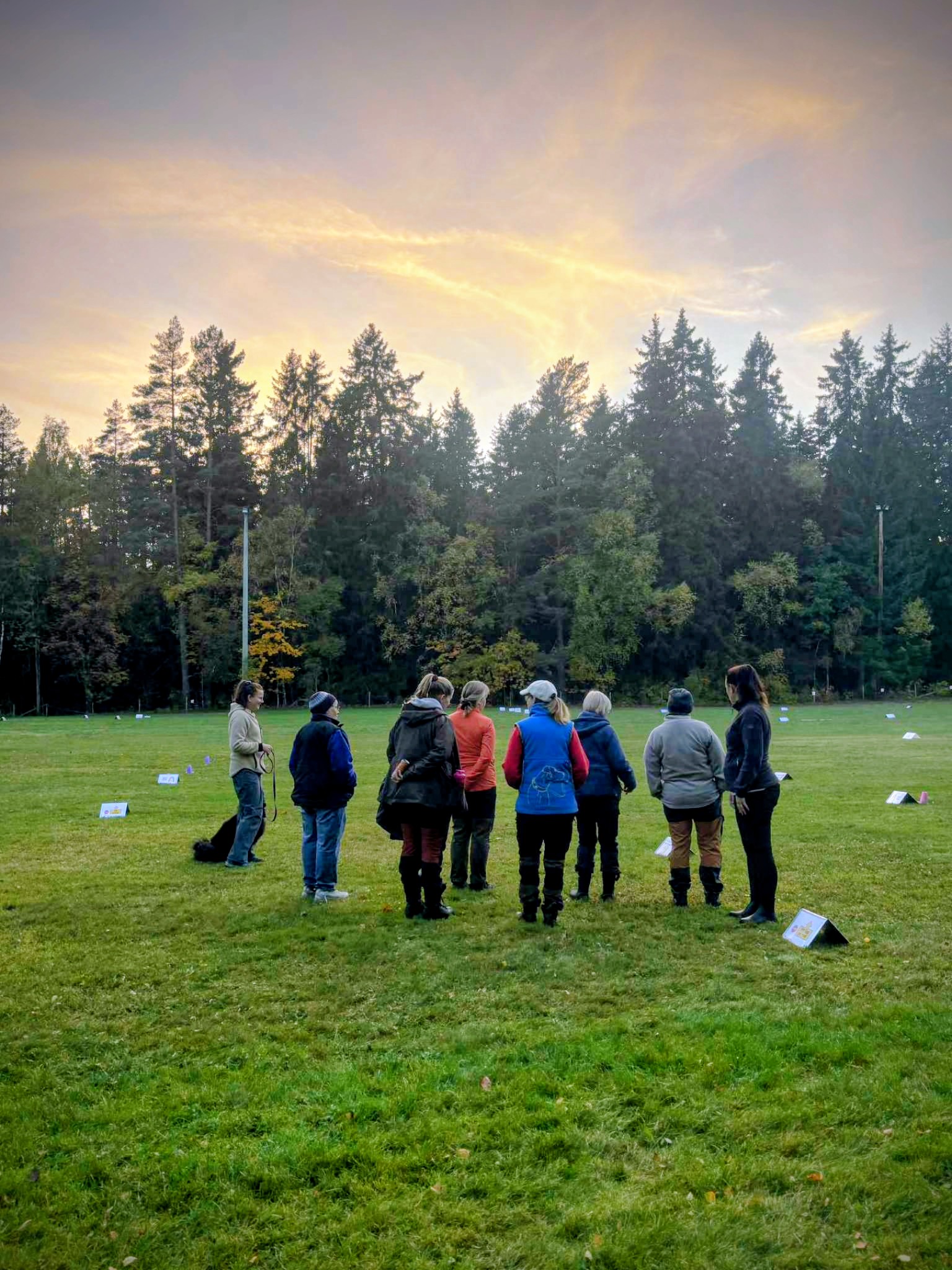 Genomgång under rallylydnadskurs