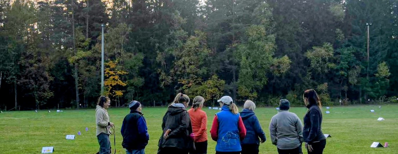 Genomgång under rallylydnadskurs