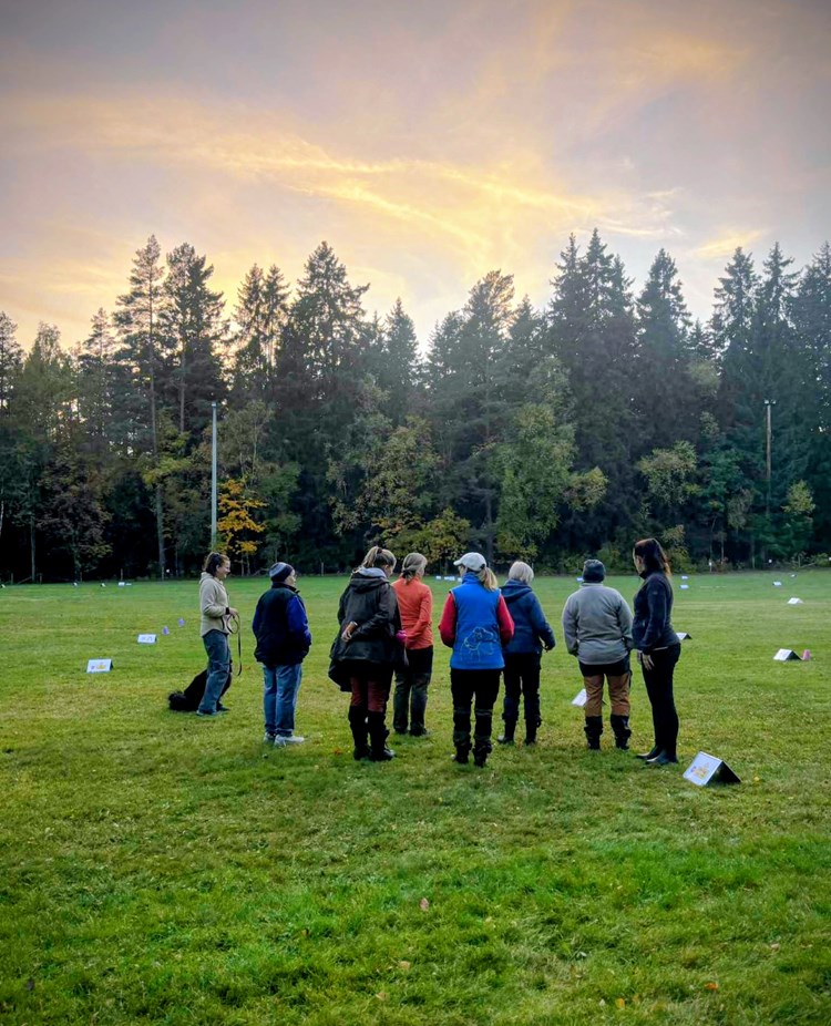 Genomgång under rallylydnadskurs