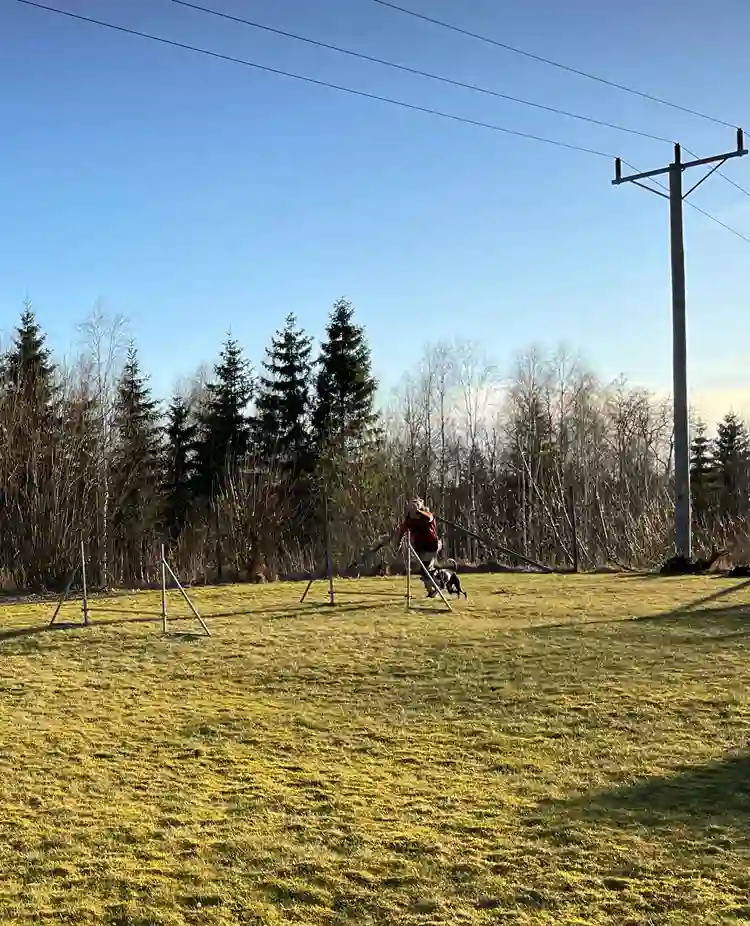 Förare och hund tränar agility