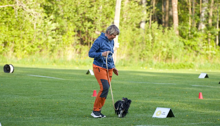 Årets Hund - vinnare 2023 Rallylydnad: Marie Ulriksson & Saga