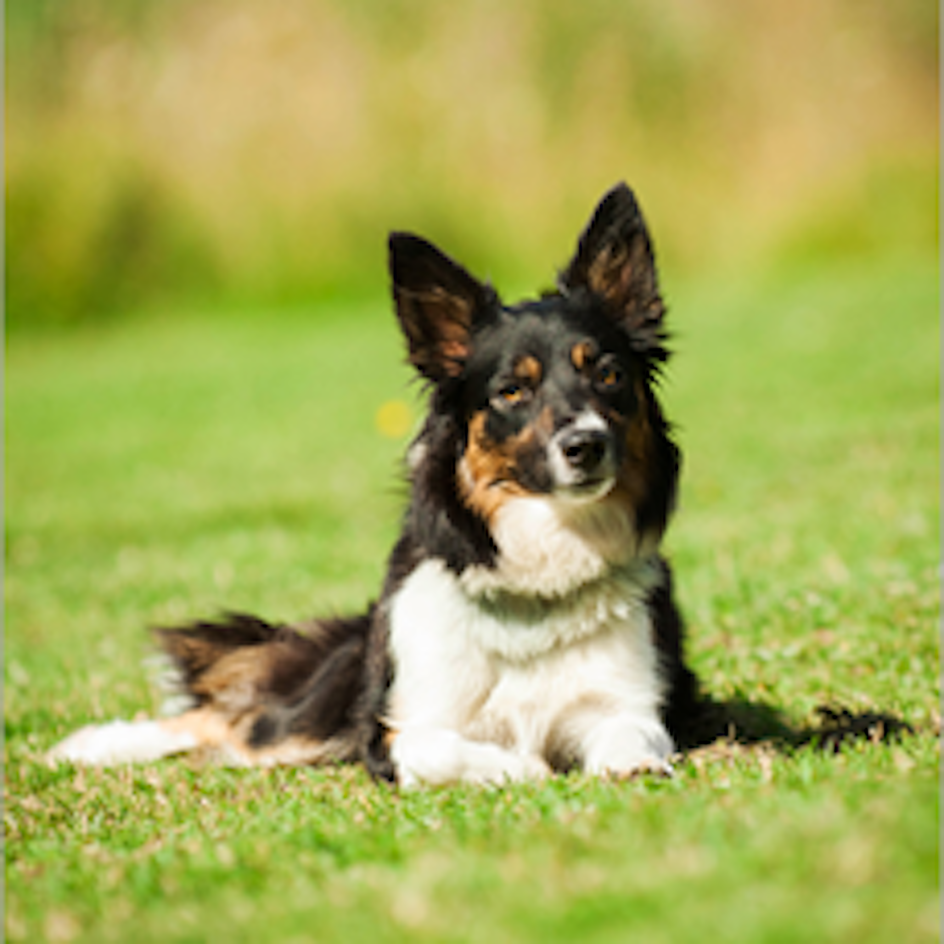 Foto: Julia Indergand