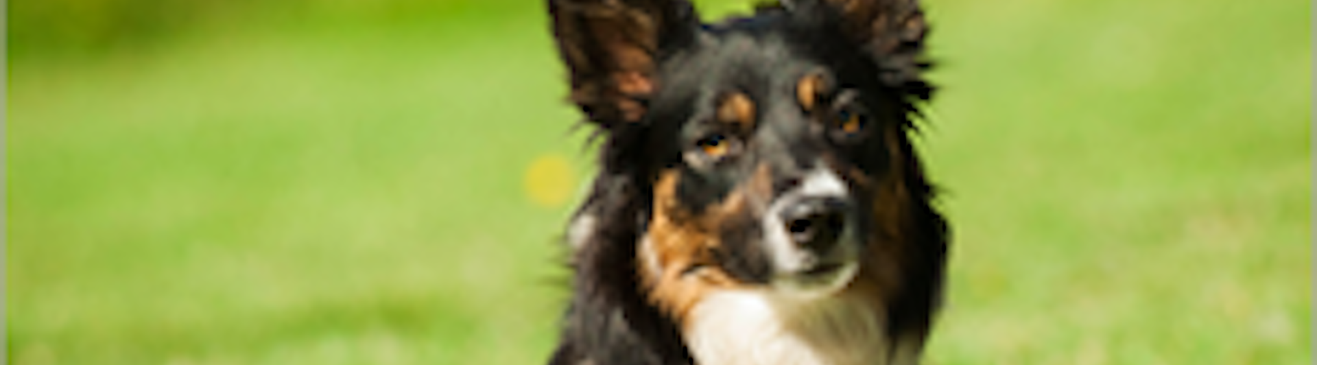 Foto: Julia Indergand