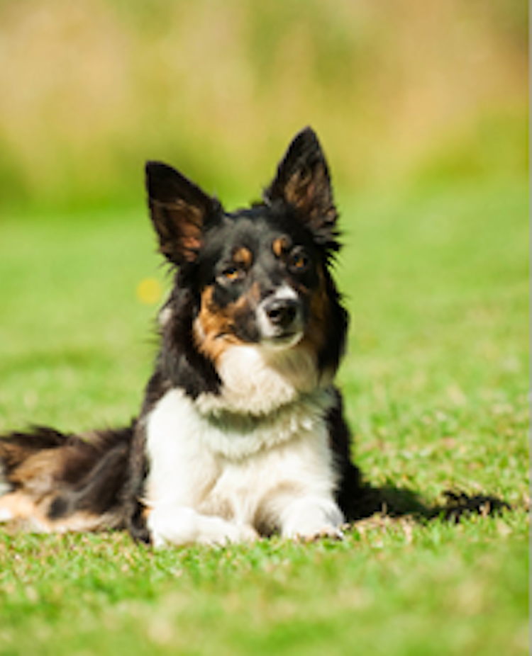 Foto: Julia Indergand