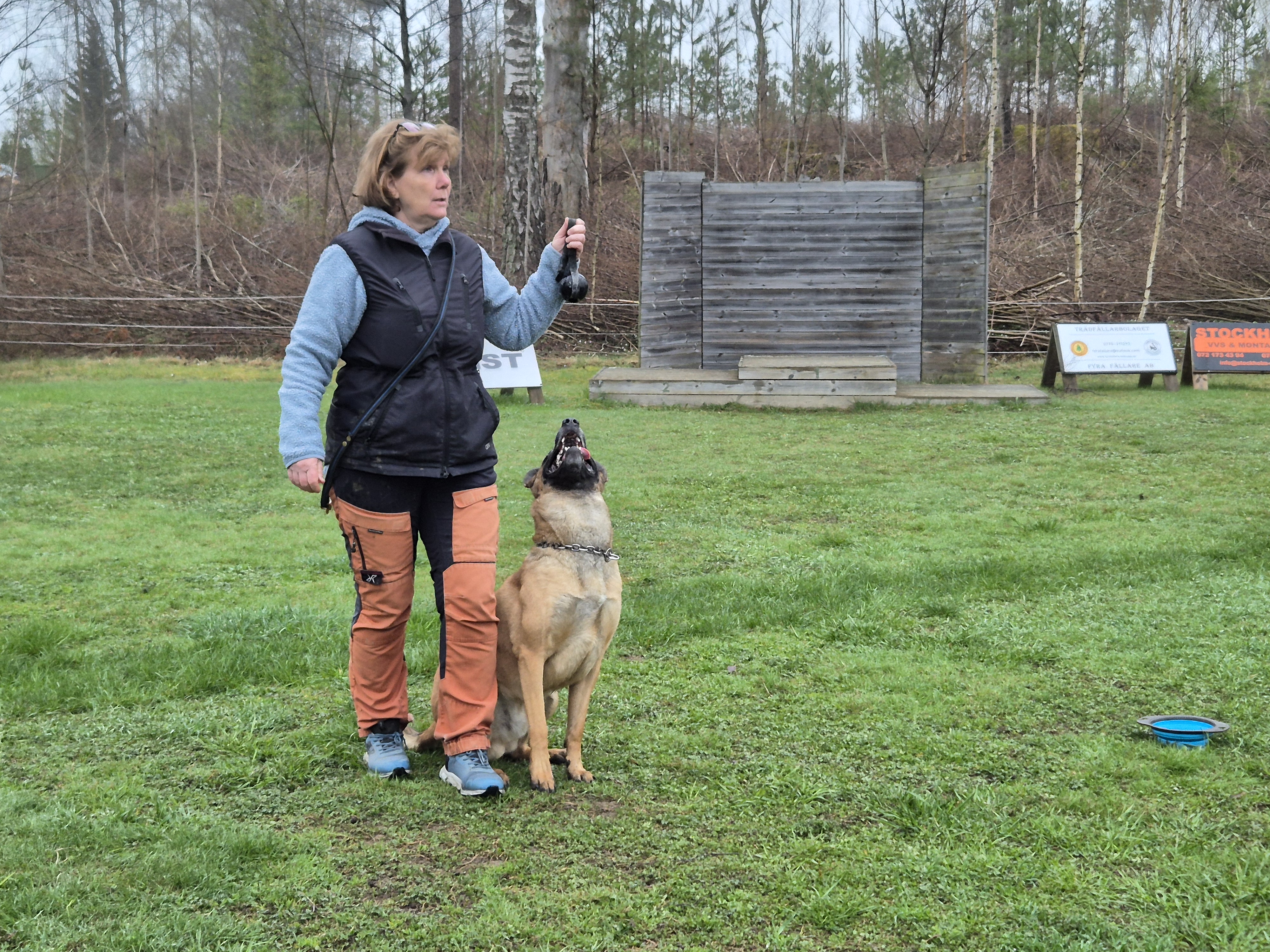 Christel och Stålis visar hur det ska gå till. Skyddslydnadskurs på Nynäs BK.