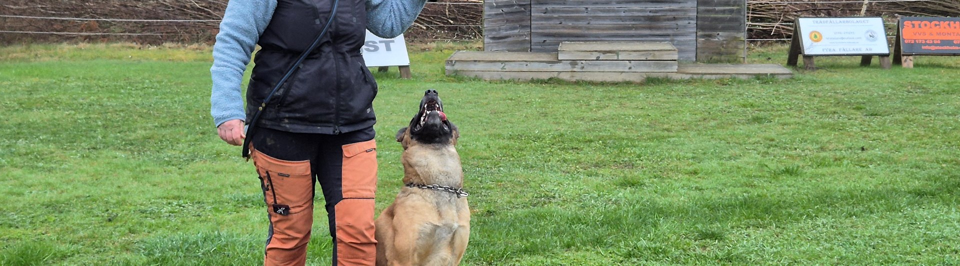 Christel och Stålis visar hur det ska gå till. Skyddslydnadskurs på Nynäs BK.