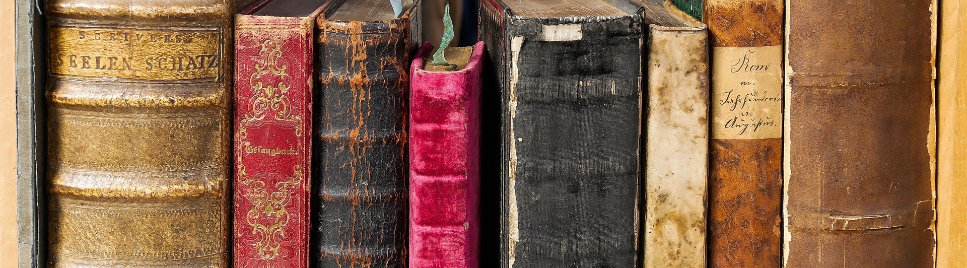 Bild som visar en rad bokryggar i bokhylla.