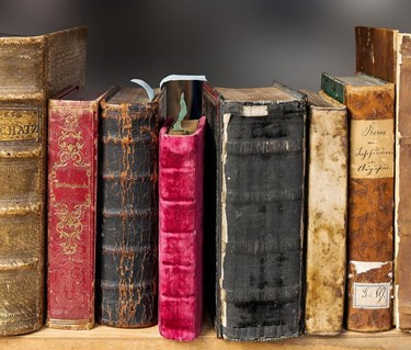 Bild som visar en rad bokryggar i bokhylla.