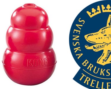 Röd kong hos Trelleborgs Brukshundklubb