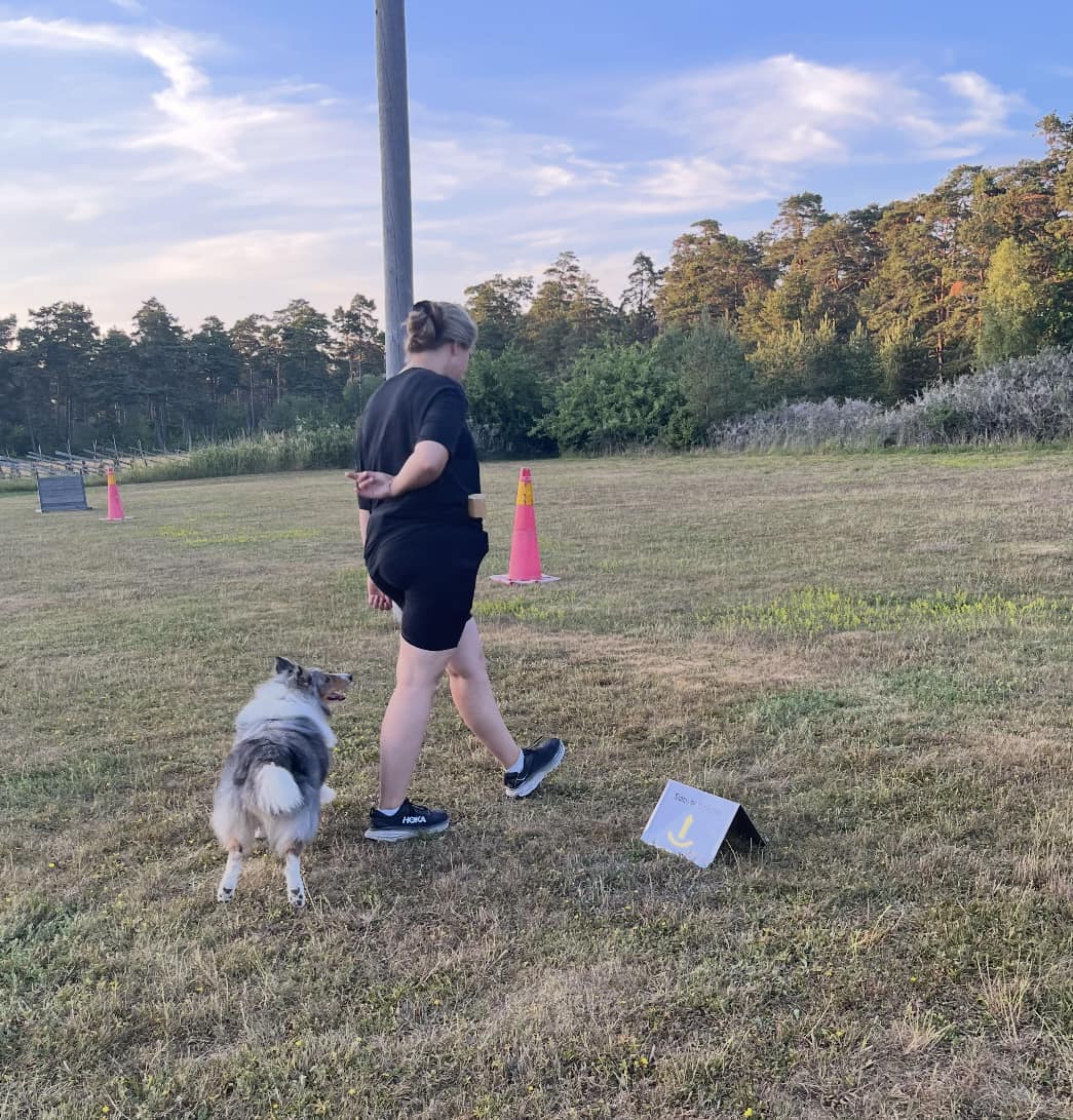 Rallylydnad byta bakom