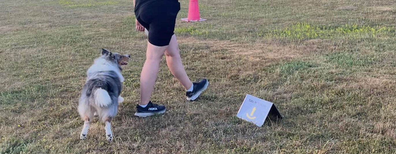 Rallylydnad byta bakom