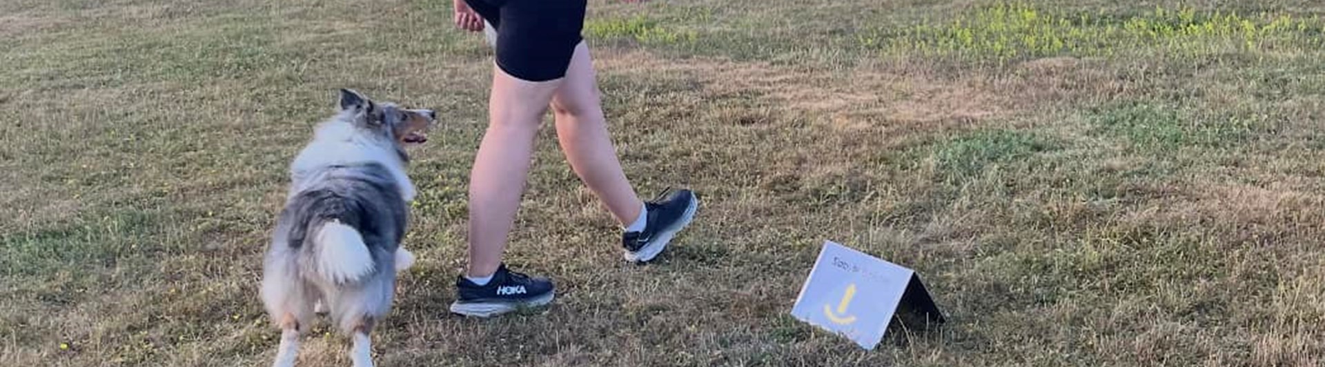 Rallylydnad byta bakom