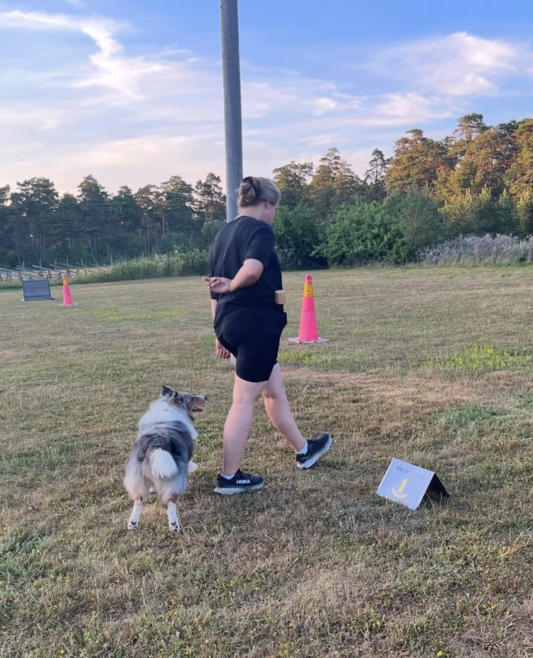 Rallylydnad byta bakom