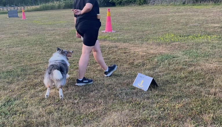 Rallylydnad byta bakom