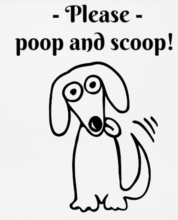 Poop and scoop