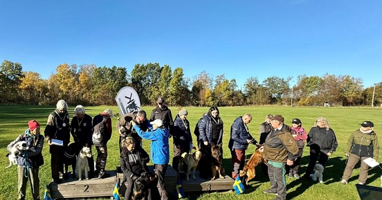 Prispall med lyckliga vinnare med sina hundar