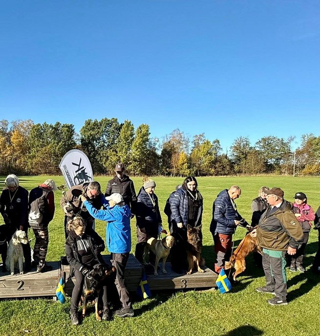 Prispall med lyckliga vinnare med sina hundar