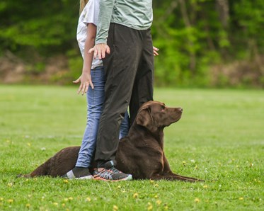 Hund ligger mellan en vuxen och ett barn som står rygg mot rygg