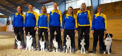 Foto på landslaget i lydnad