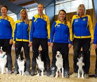 Foto på landslaget i lydnad