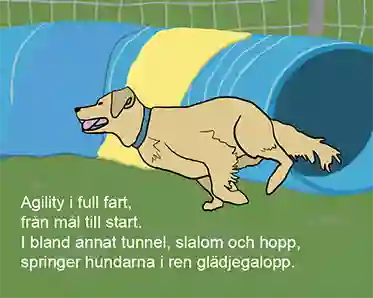 En golden retriever i full fart ut från en agilitytunnel. I bilden finns versen: "Agility i full fart, från mål till start. I bland annat tunnel, slalom och hopp, springer hundarna i ren glädjegalopp.