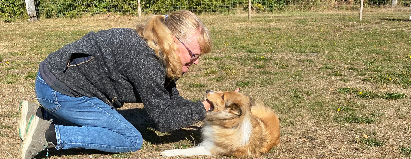 Kvinna på knä leker med en sheltie i höstsolen.