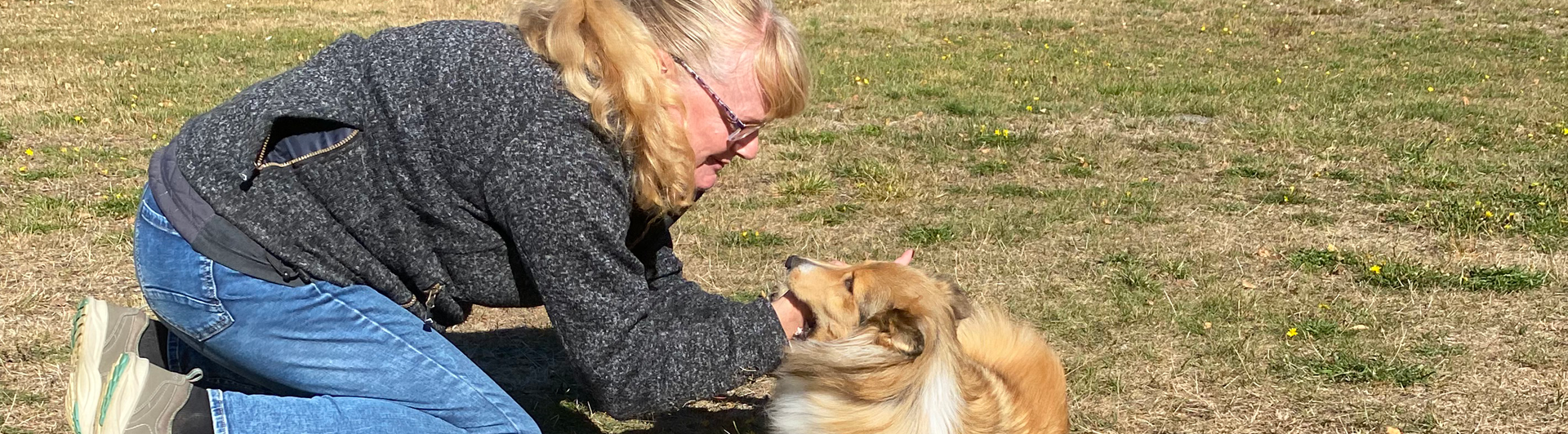 Kvinna på knä leker med en sheltie i höstsolen.