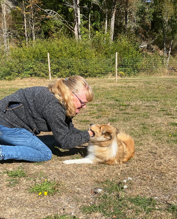 Kvinna på knä leker med en sheltie i höstsolen.