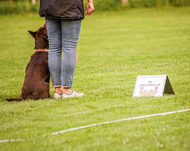 Ekipage kör rallylydnad