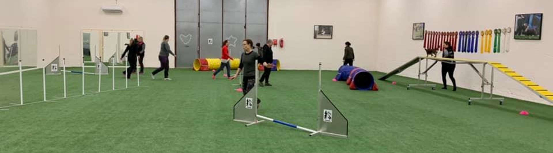 Agility Lindas Hundhall