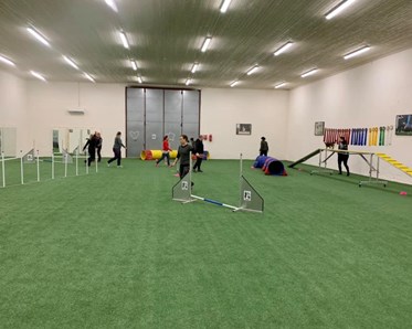 Agility Lindas Hundhall