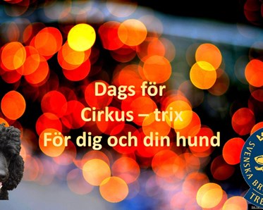 Inspirationsbild till kursen Cirkus - trix med Birthe Wallin