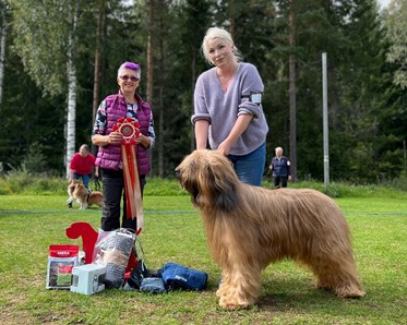Nedansiljans Brukshundsklubb
