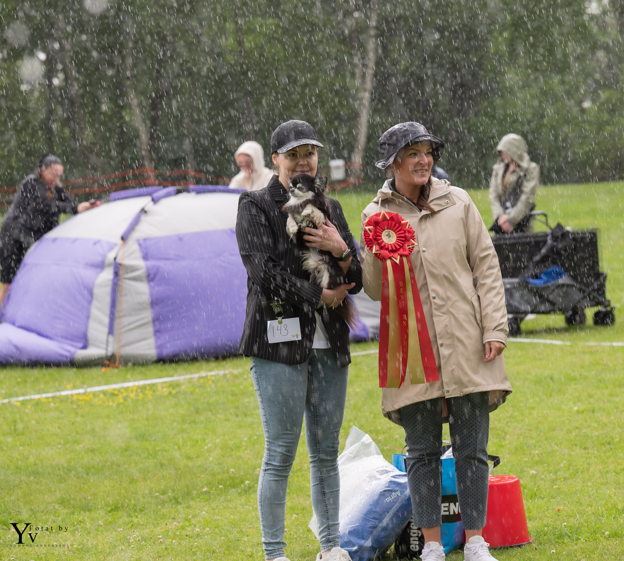 Bild på BIS inofficiell hundutställning 1/6