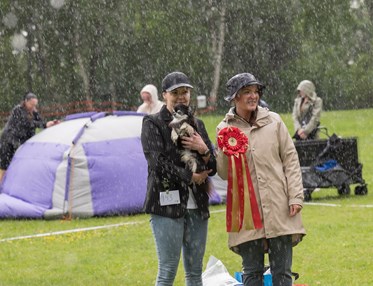 Bild på BIS inofficiell hundutställning 1/6