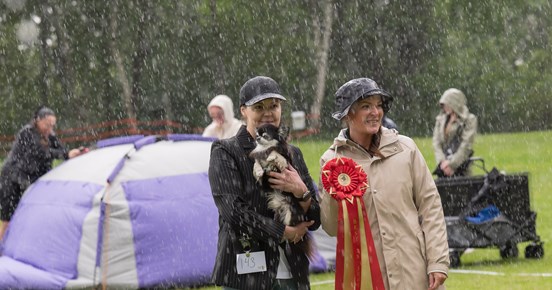 Bild på BIS inofficiell hundutställning 1/6