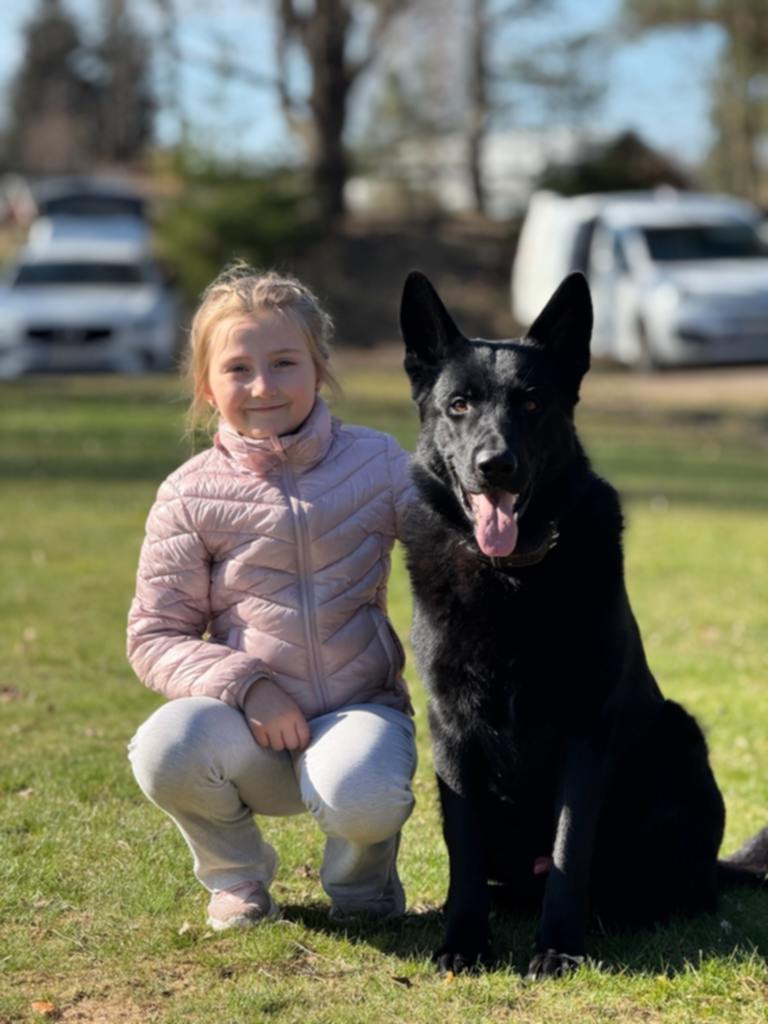 Ett barn i rosa jacka sitter på huk och håller armen och den svarta schäfern som sitter vid hennes sida