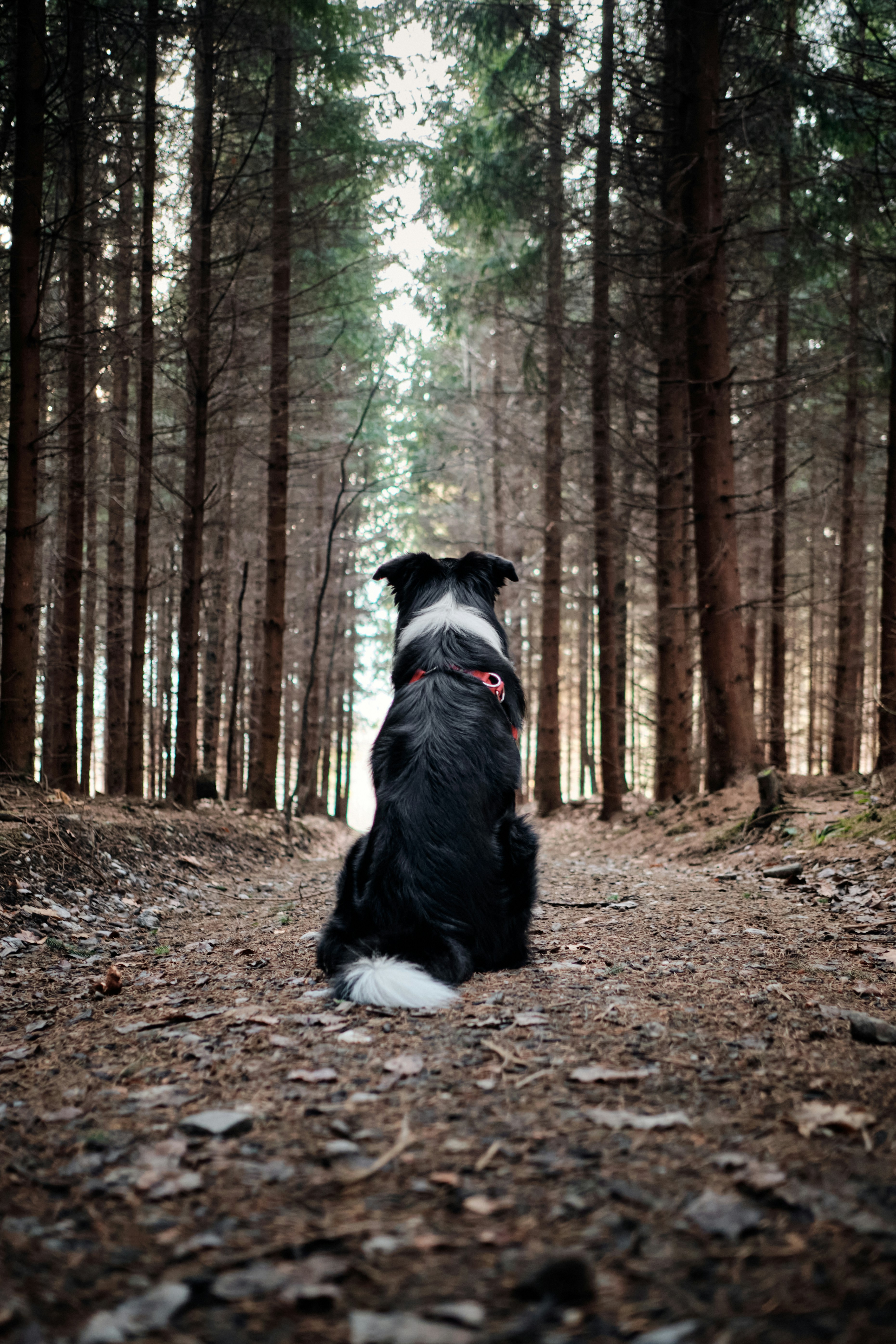 Foto: Tadeusz Lakota via Unsplash