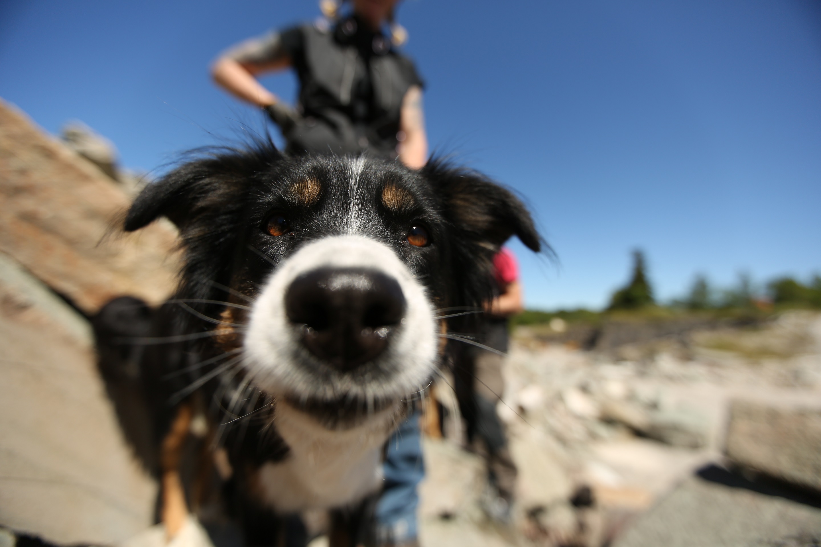 Fotograf: Christian Björses