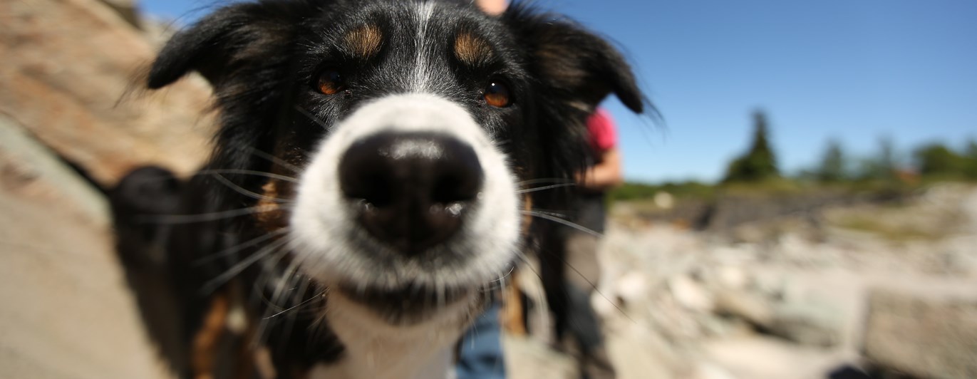 Fotograf: Christian Björses