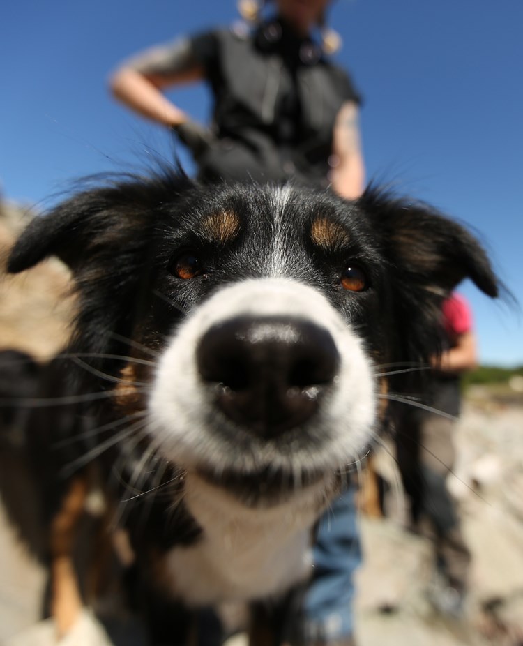 Fotograf: Christian Björses