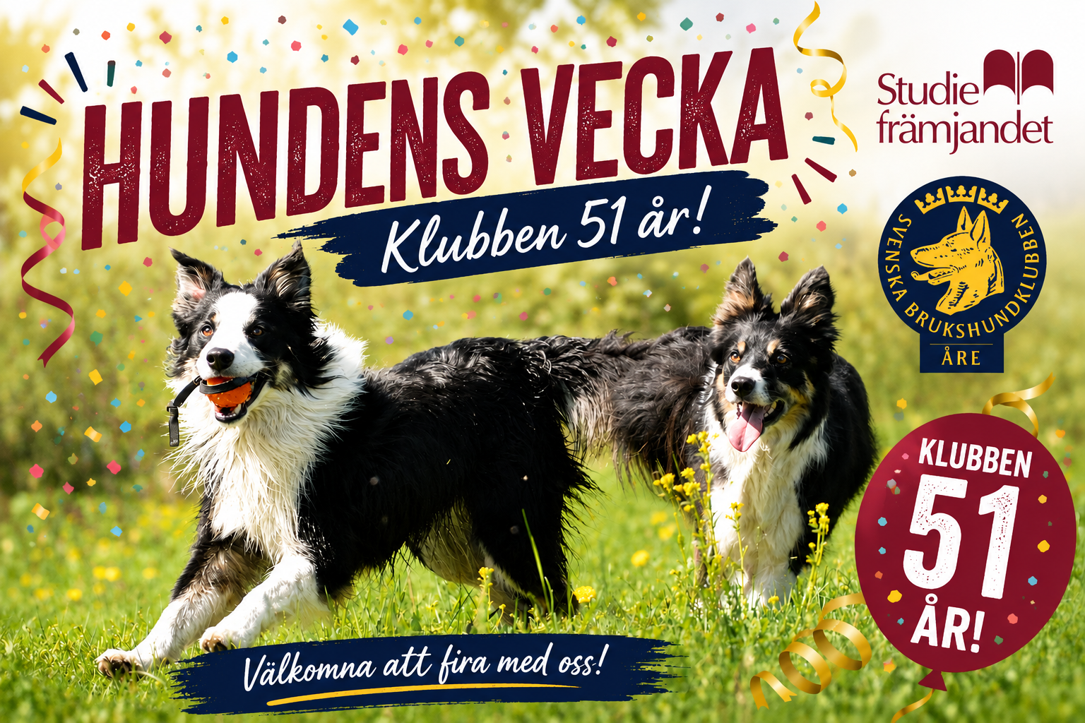 Springande hundar. Åre BHK logga. Firar jubileum.