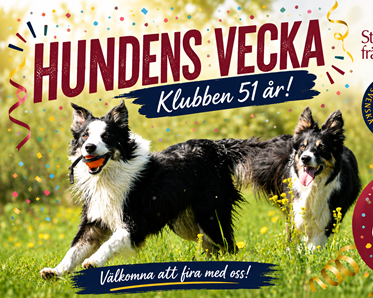 Springande hundar. Åre BHK logga. Firar jubileum.