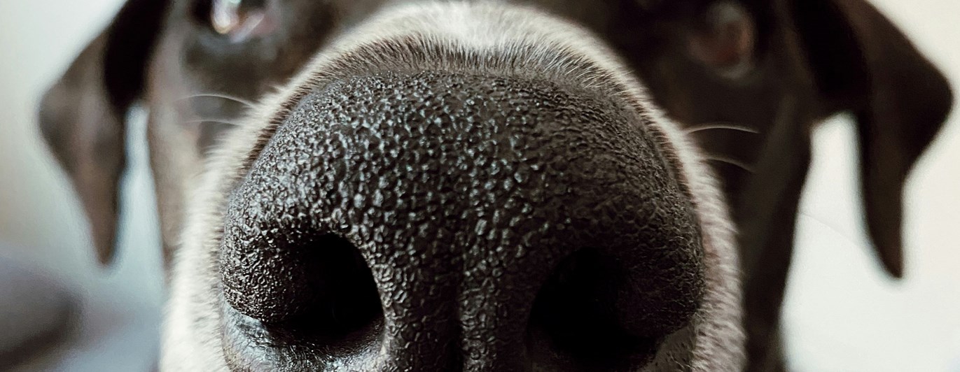 Foto: Madalyn Cox Zuu - Unsplash