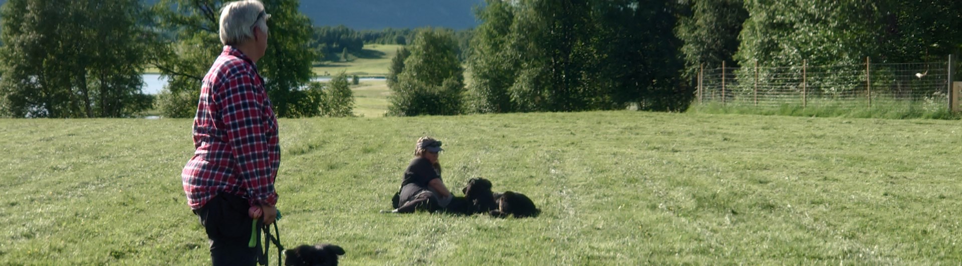 Allmänlydnadskurs på Hundholmen