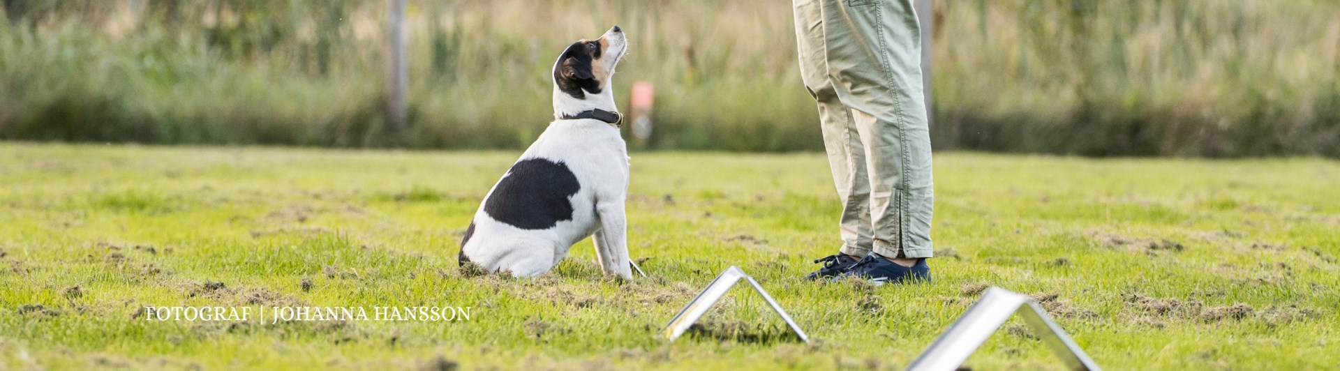 Ekipage som tränar rallylydnad.